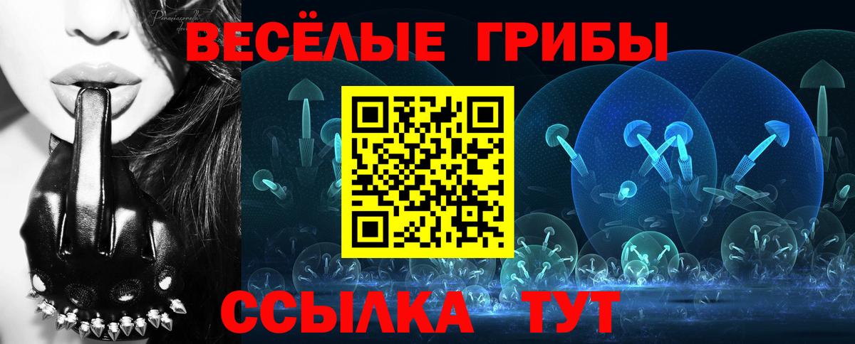 Кстово  Псилоцибиновые грибы GOLDEN TEACHER  Псилоцибиновые грибы Cubensis  Вход с VPN 